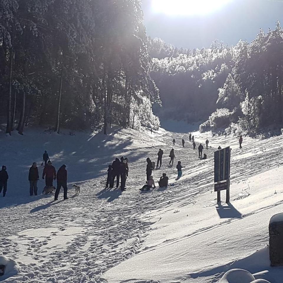 Hotel Snjezna Kuca - Nature Park Of Bosnia Herzegovina Padezina Bagian luar foto