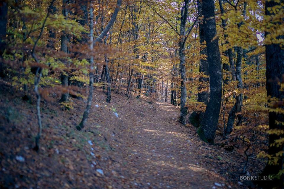 Hotel Snjezna Kuca - Nature Park Of Bosnia Herzegovina Padezina Bagian luar foto